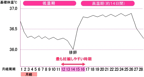 37度 生理前 基礎体温 いつもの生理前と決定的に違った妊娠の症状は？File.6